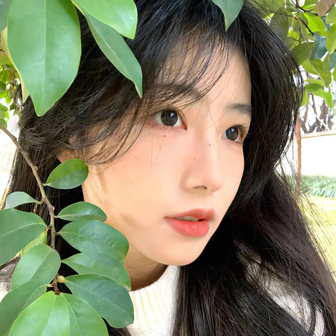 高清剧集